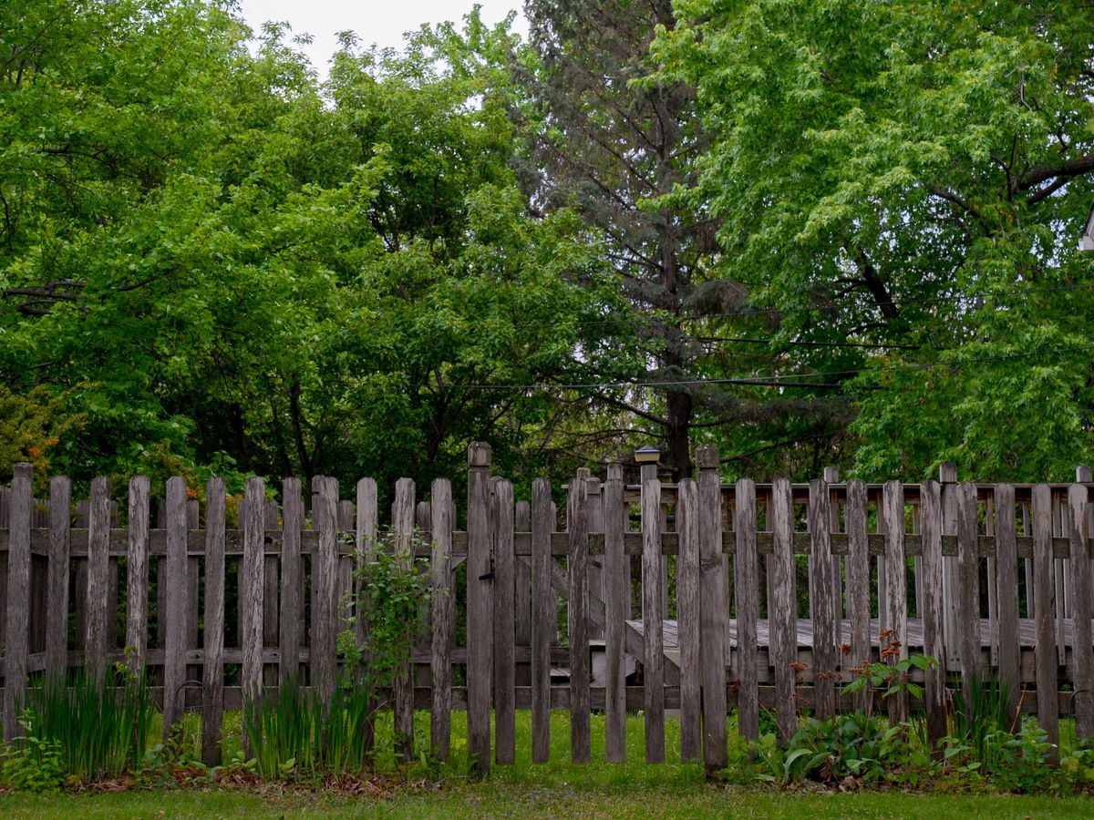 Residential fence bordering a green backyard